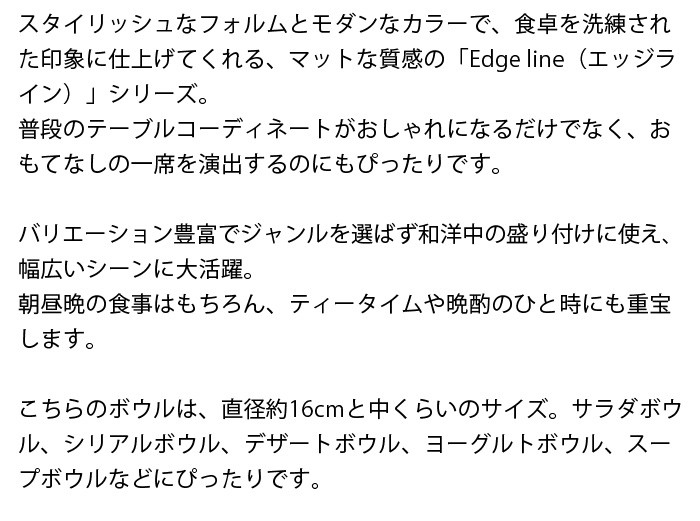 ボウル おしゃれ M 16cm エッジライン