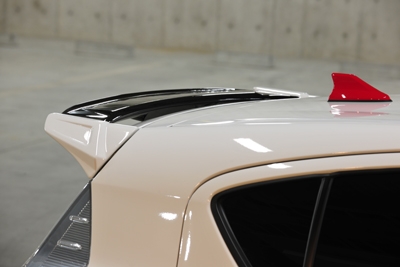 送料込み　アクア　ノブレッセ リアウイング ノブレッセ アクア用リアウイング