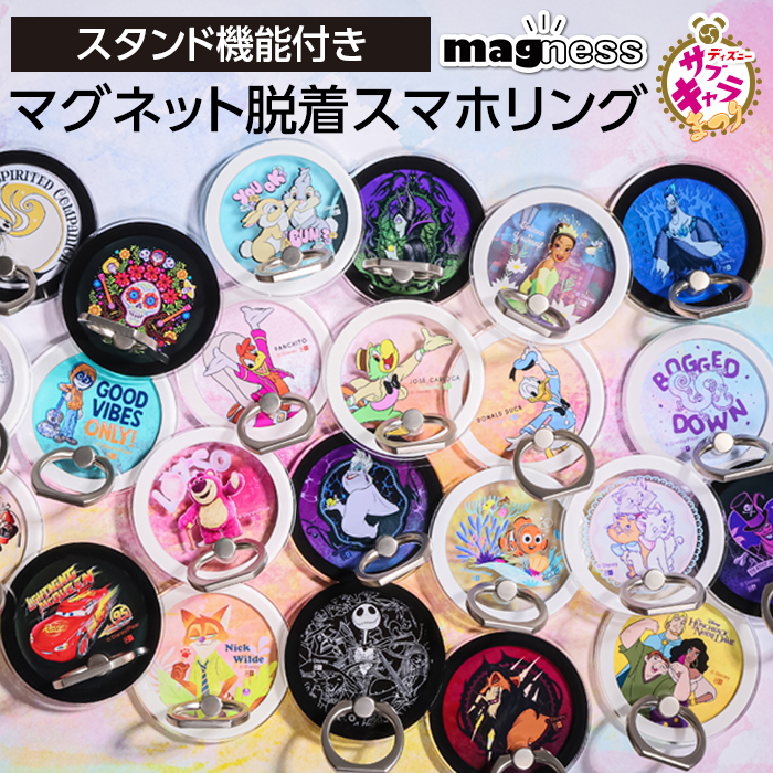 アメリカ WaltDineyWorld パスホルダー マグネット ディズニー アメリカ WaltDineyWorld パスホルダー マグネット ディズニー