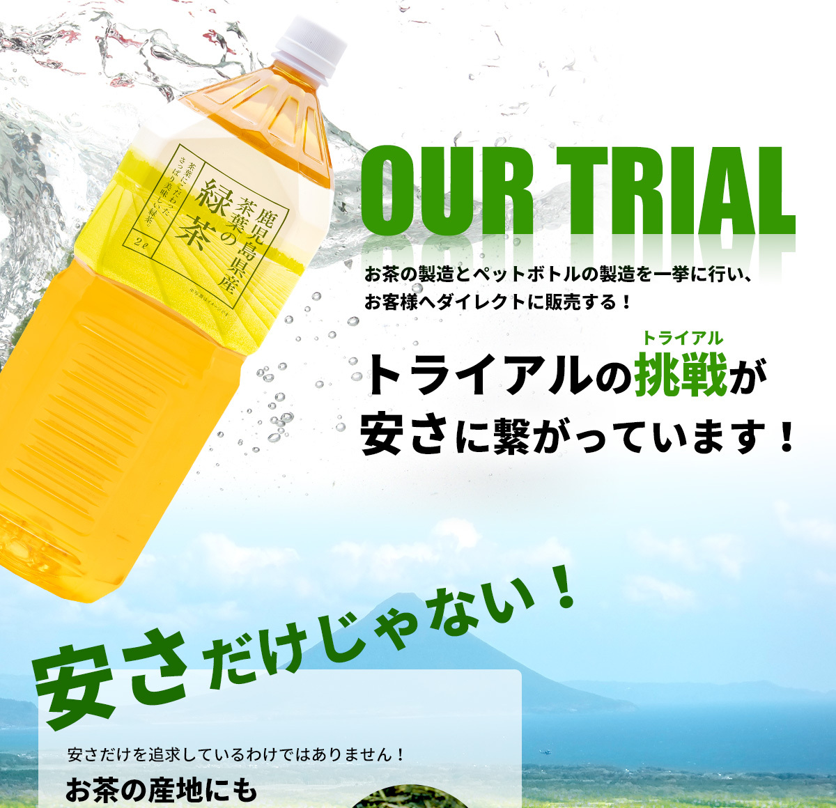 トライアル緑茶2l
