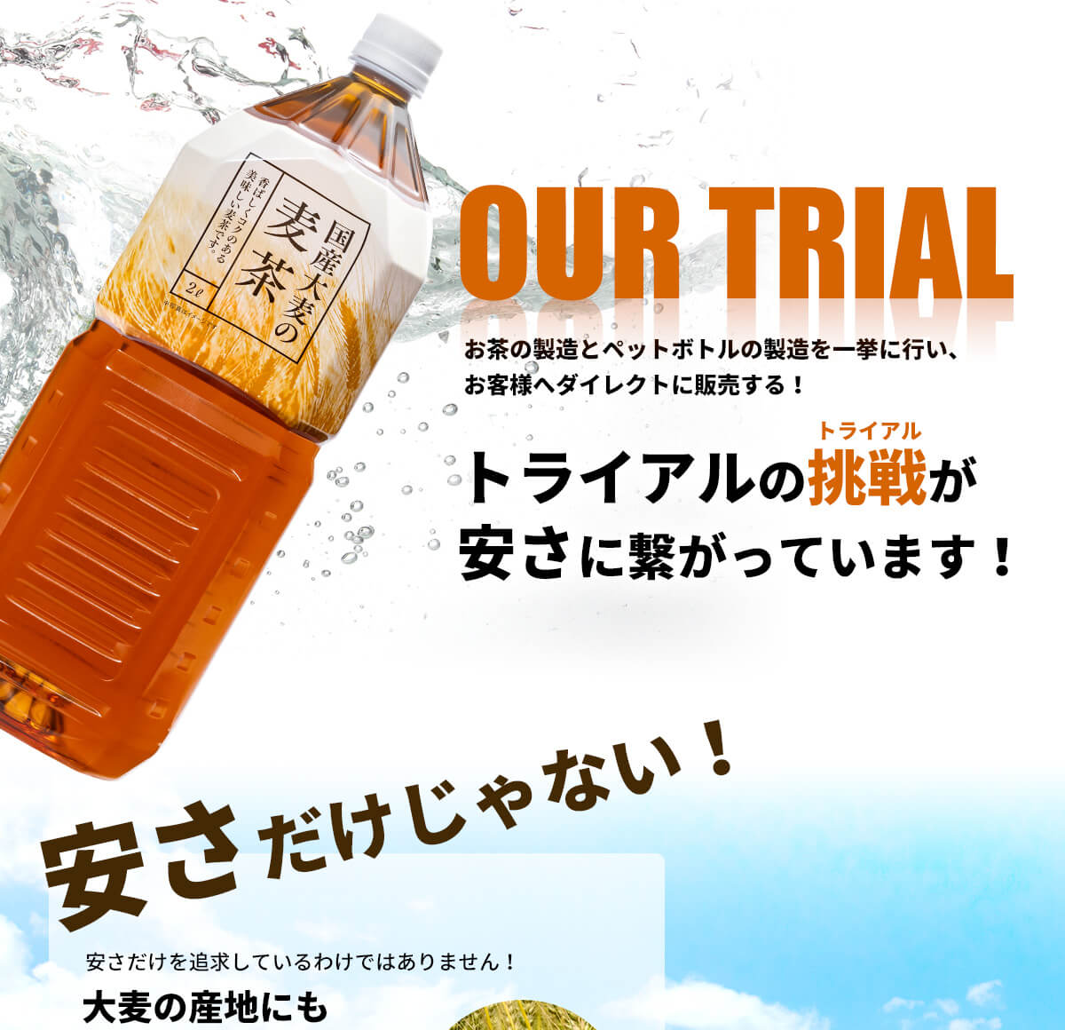 トライアル麦茶2l