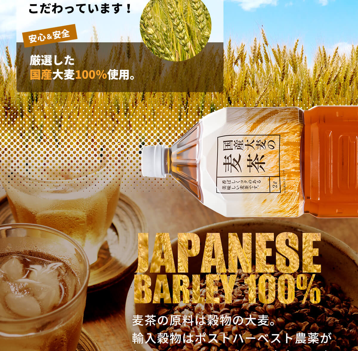 トライアル麦茶2l