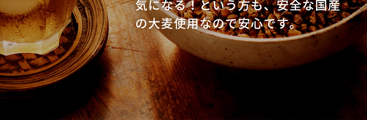 トライアル麦茶2l