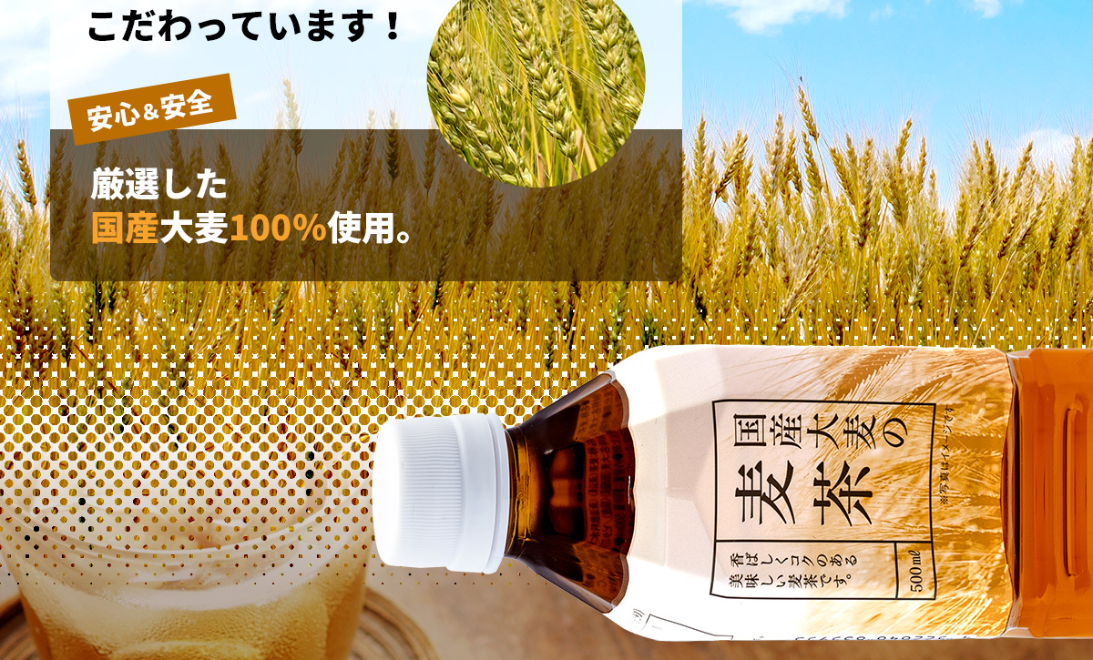 トライアル麦茶500ml