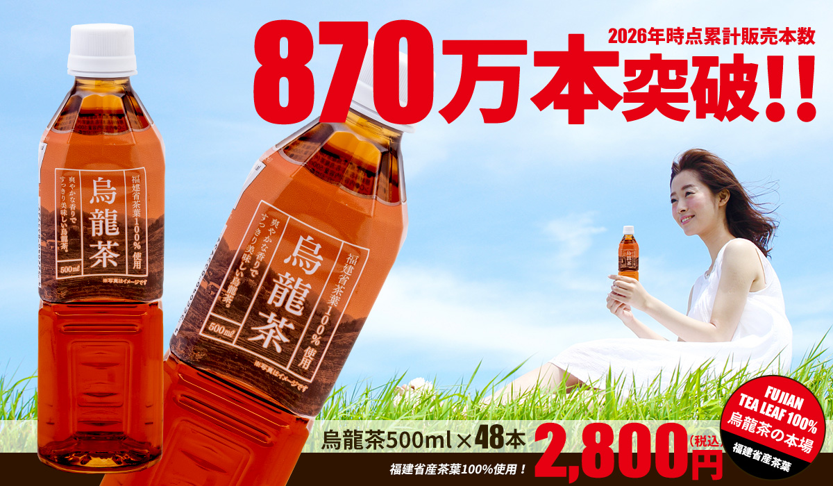 烏龍茶500ml×48本【西日本エリア送料無料！】福建省産茶葉100％使用