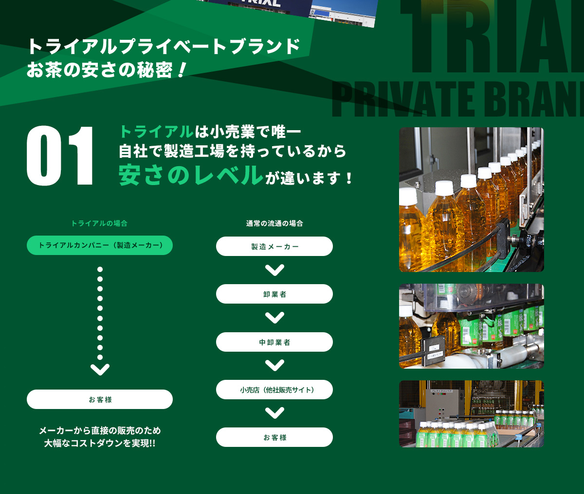 トライアル濃い緑茶500ml