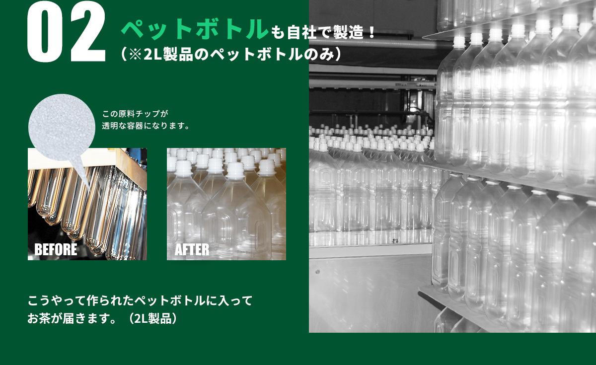 トライアル濃い緑茶500ml