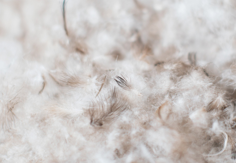 ダウンジャケット メンズ 日本製 秋冬 ブランド THE (ザ) メンズ