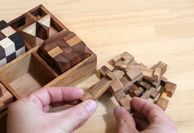 Rocks Motion 木製立体パズル 6個セット ケース入り Wood Puzzle