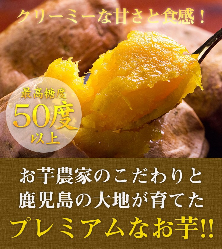 さつまいも 安納芋 5kg 土付き生芋 大小サイズ混在 鹿児島県産 安納いも あんのう さつま芋 :anno05:かごしま たべものがたり - 通販  - Yahoo!ショッピング