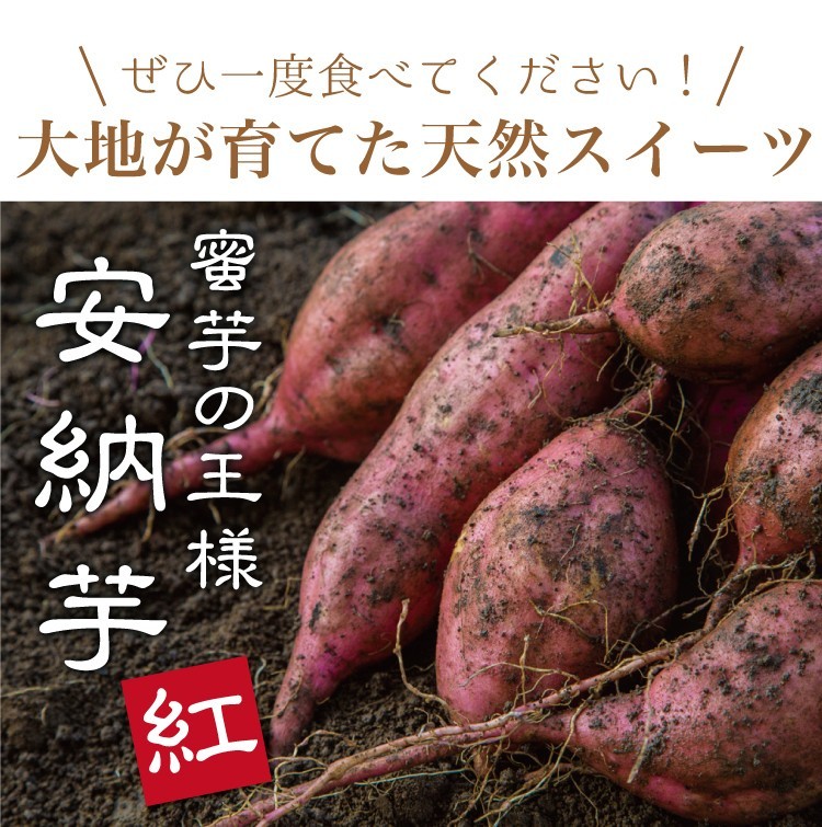 さつまいも 安納芋 20kg 土付き生芋 大小サイズ混在 鹿児島県産 安納