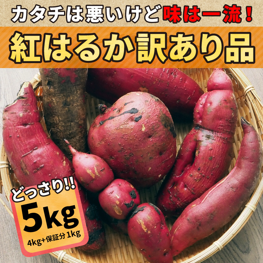 紅はるか 訳あり品 5kg (4kg+保証分1kg) 土付き 無選別 さつまいも :beniwake005:かごしま たべものがたり - 通販 -  Yahoo!ショッピング