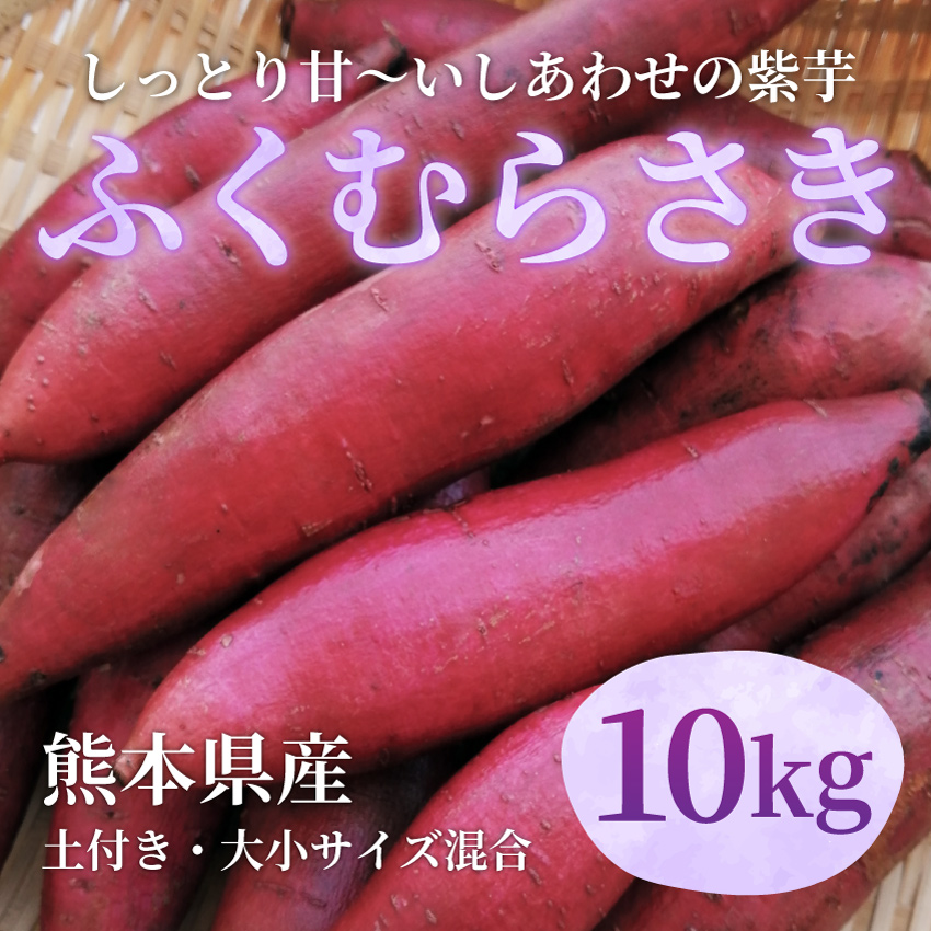 さつまいも 紫芋 ふくむらさき 10kg （熊本県産・土付き・大小サイズ混在） 紫さつまいも 紫いも