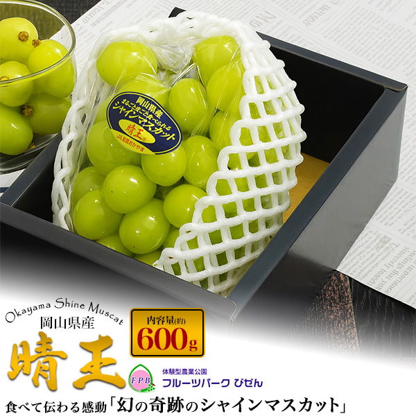 晴王シャインマスカット 6個入り ぶどう シャインマスカット 晴王 赤秀 3〜6房 2kg 岡山県産 葡萄
