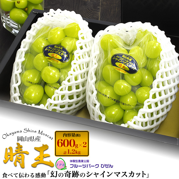 岡山県産 シャインマスカット 晴王 2房 約600g×2個 最高ランク 国産