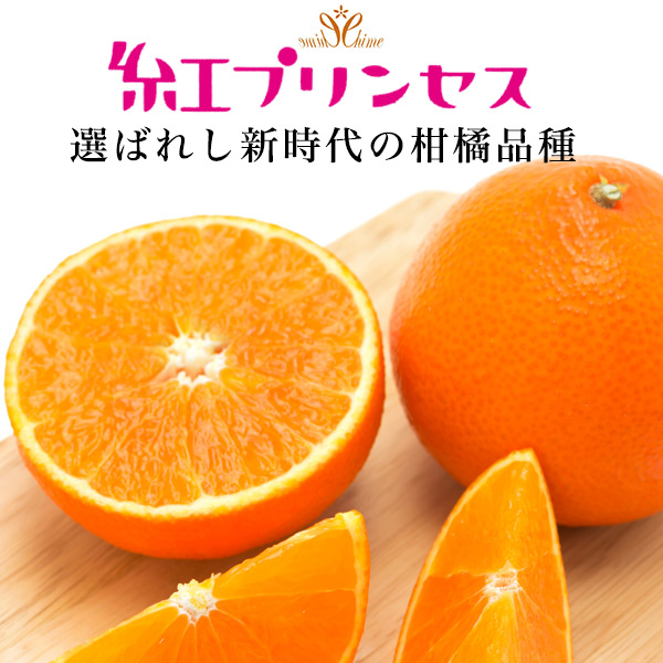 紅プリンセス 青秀 愛媛県産 みかん 約1〜1.3kg 5〜7玉入り 糖度12度