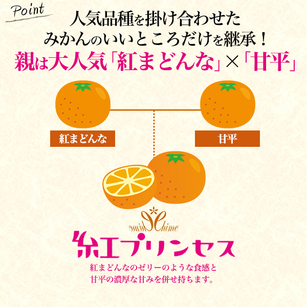 紅プリンセス 青秀 愛媛県産 みかん 約1〜1.3kg 5〜7玉入り 糖度12度