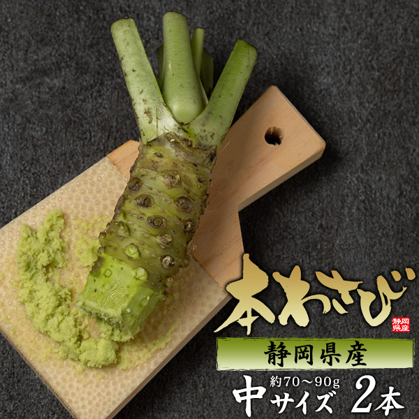 2本セット 静岡県産 本わさび 中サイズ 約70〜90g×2本 国産 ワサビ