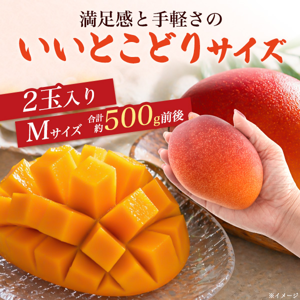 宮崎県産完熟マンゴーとミニマンゴー　2キロ 宮崎県産 マンゴー ミニ Mサイズ 2玉入り 合計約500g前後 国産 完熟