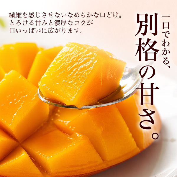 宮崎県産 マンゴー ミニ Mサイズ 2玉入り 合計約500g前後 国産 完熟