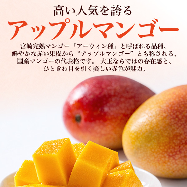 宮崎県産 マンゴー ミニ Mサイズ 2玉入り 合計約500g前後 国産 完熟