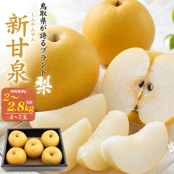 鳥取県産 梨 新甘泉 4〜7玉入り 計約2〜2.8kg前後 国産 果物 フルーツ