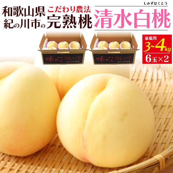 訳あり 桃 和歌山紀の川市 清水白桃 約3-4kg 12玉入り 和歌山県
