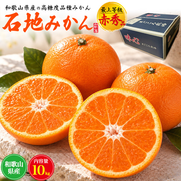 和歌山県産 石地みかん 最上等級 赤秀品 約10kg 100〜115個入り 国産