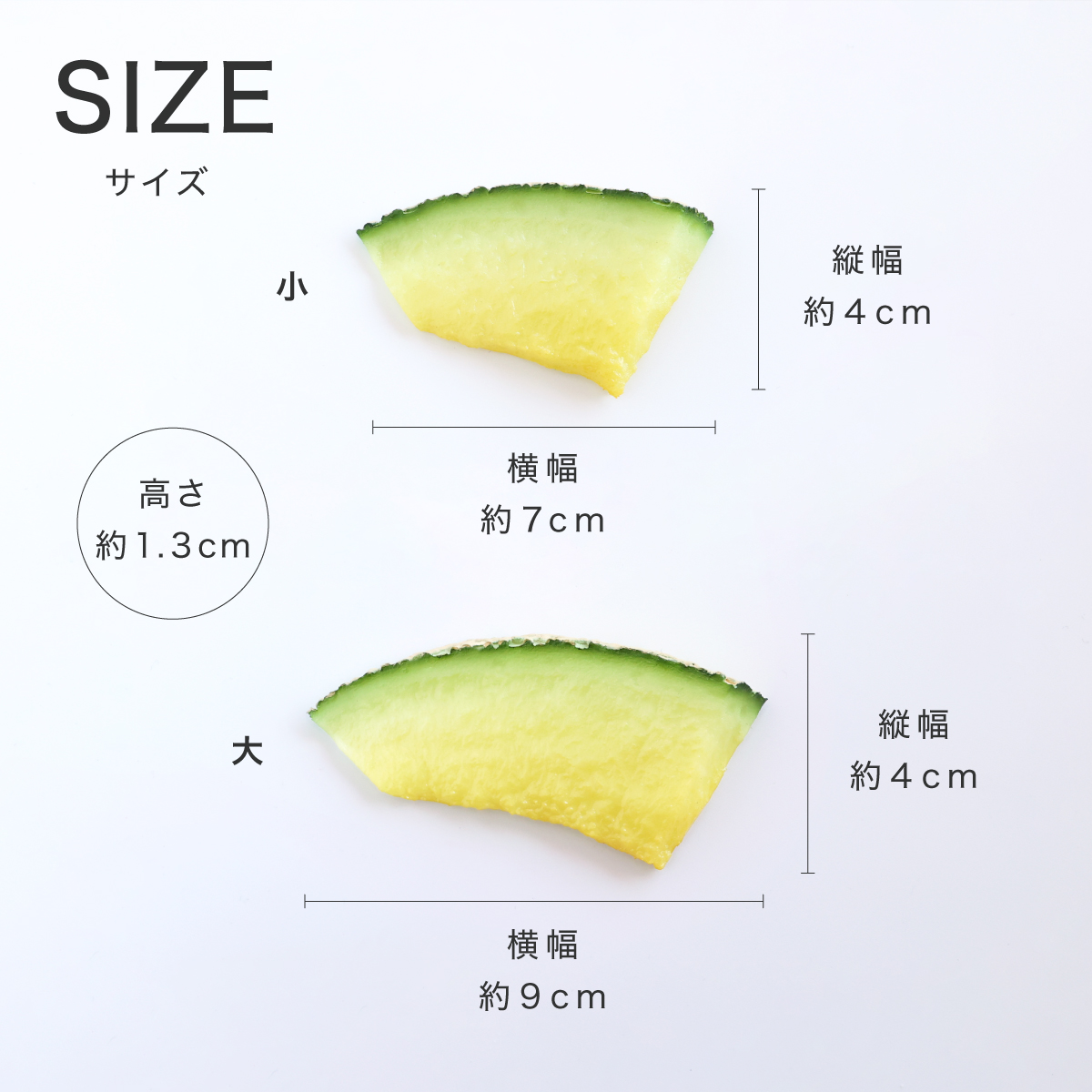 ハーバリウム用 輪切り メロン ３枚入り ｜ 食品サンプル サンプル品 レプリカ 見本 見本品 ハーバリウム 材料 部材 花材 フルーツ ドライフルーツ 資材 ドライフラワー プリザーブドフラワー ハンドクラフト 店舗 装飾 ディスプレイ 小物 撮影 写真撮影 ギフト プレゼント