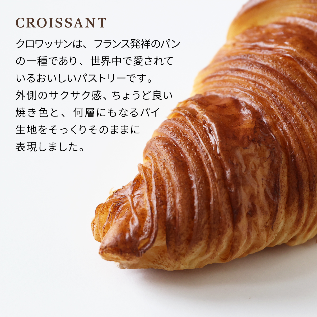 食べられないパン 食パン 食品サンプル サンプル品 レプリカ トースト ベーカリー パン屋 見本品 日本製 フェイク 材料 部材 店舗 装飾 ディスプレイ 置物 インテリア 小物 撮影 写真撮影 ギフト プレゼント 食べれません taberemasen