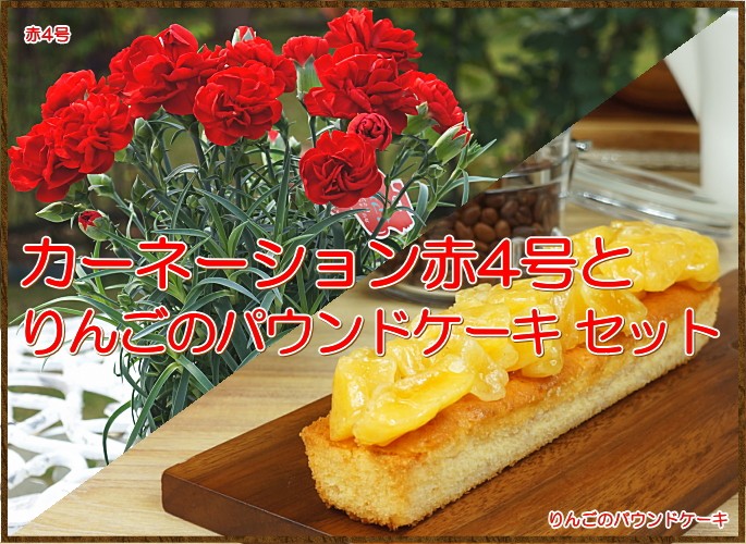 母の日 花 スイーツ 送料無料 カーネーション鉢植え りんごのパウンドケーキ スーパーセール期間限定 赤4号 セット と