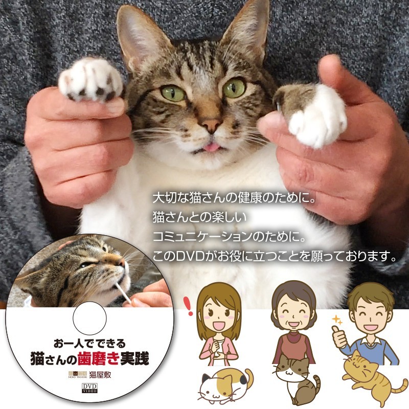 猫の歯科診療 DVD 2枚組 DVD猫さんの歯磨き実践講座歯磨き・口内ケアの全過程を完全収録 : 牛