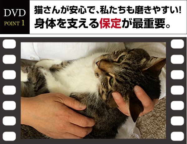 DVD猫さんの歯磨き実践講座歯磨き・口内ケアの全過程を完全収録 : 牛