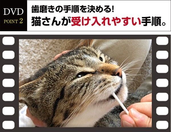 DVD猫さんの歯磨き実践講座歯磨き・口内ケアの全過程を完全収録 : 牛
