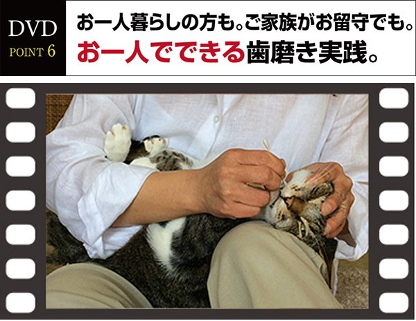 DVD猫さんの歯磨き実践講座歯磨き・口内ケアの全過程を完全収録 : 牛