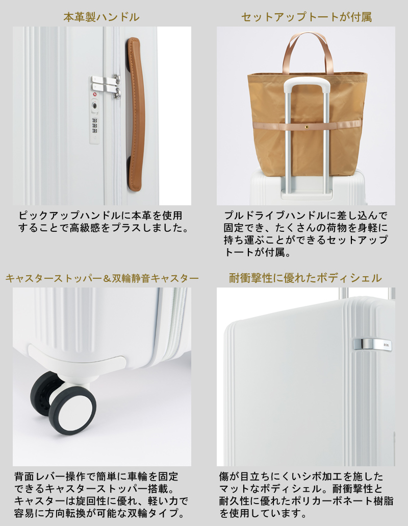 ace. 【新色追加】【送料無料】エース(ACE) ファーニットZ 05044