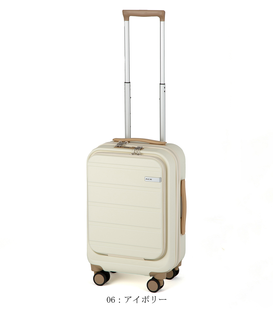 ace. 【機内持込】【送料無料】ACE エース フレットボード