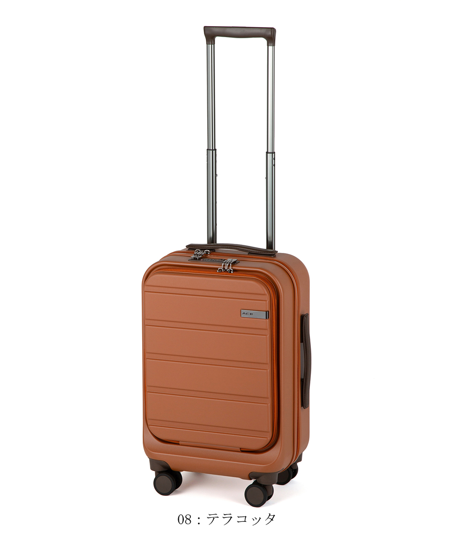 ace. 【機内持込】【送料無料】ACE エース フレットボード
