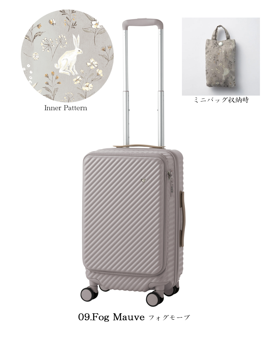 KOTAさん専用 ace. 送料無料 正規品 スーツケース 機内持ち込み HaNT ハント