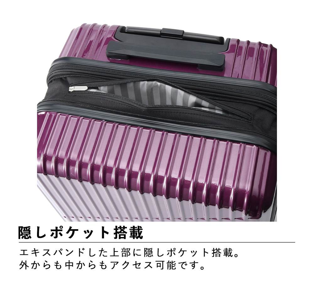 ace. 送料無料 正規品 スーツケース エース ACE クレスタ 06317