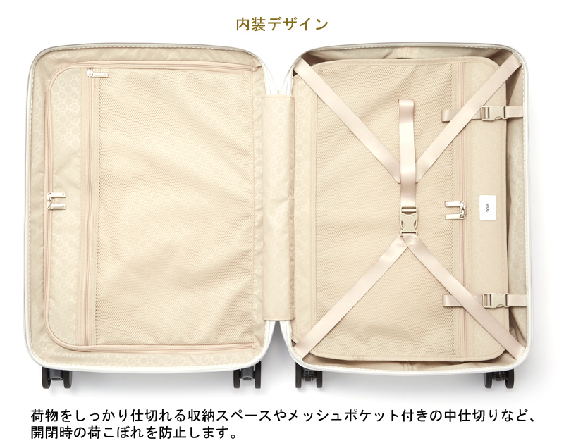 新色追加】【送料無料】エース(ACE) ace. パリセイド3-Z 06914