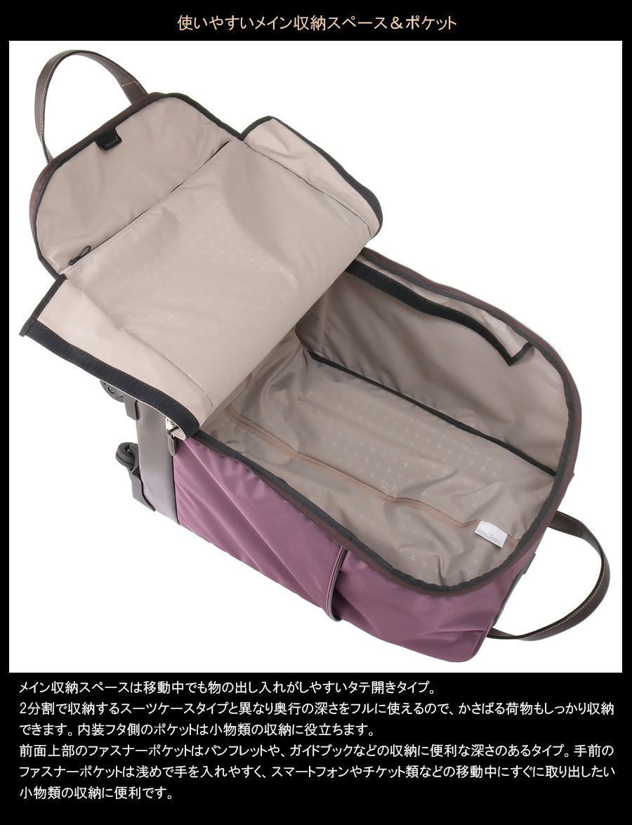 ProtecA 送料無料 正規品 スーツケース 機内持ち込み 1-2泊 ACE