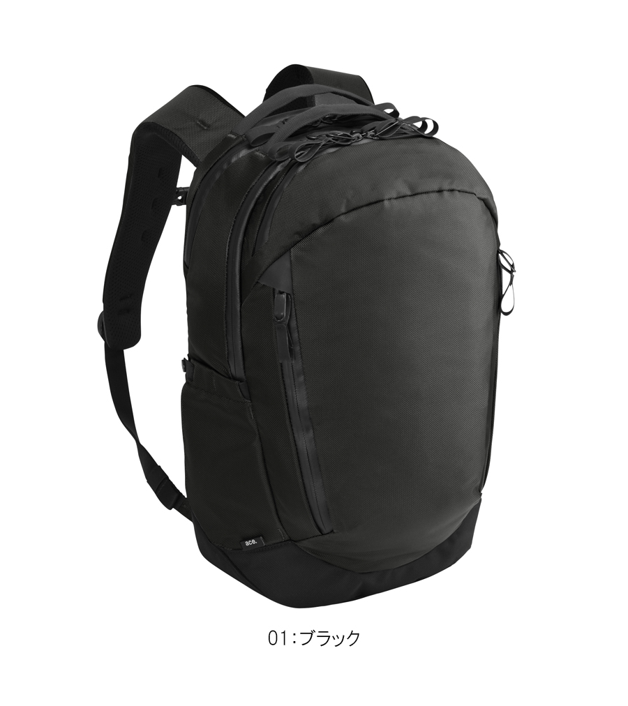 送料無料 正規品 エース ACE ace. ラグマスター2 リュック バックパック 19L 17761 14インチPC対応 エースジーン ビジネスバッグ A4収納可能 耐水の画像