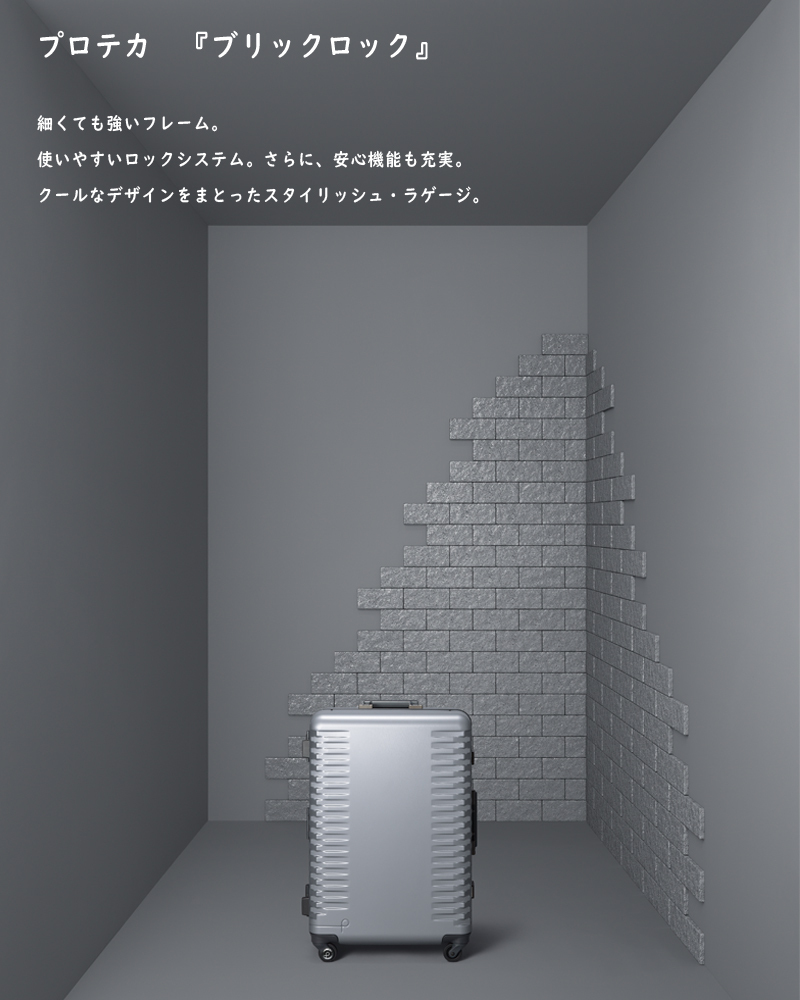 ProtecA 【SALE】【送料無料】日本製 エース(ACE) PROTECA