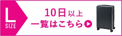 スーツケーズ_Lサイズ