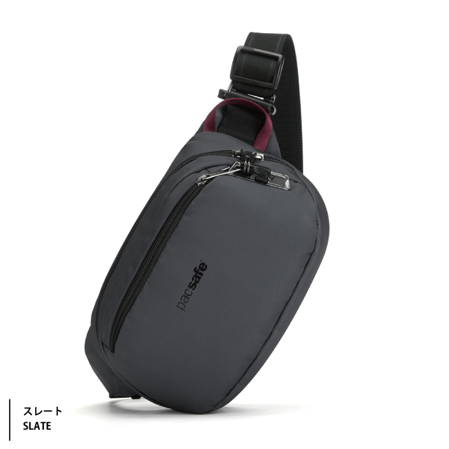 最初の  PacSafe パックセーフ V ヒップパック バイブ100 : 旅行用品の Bag