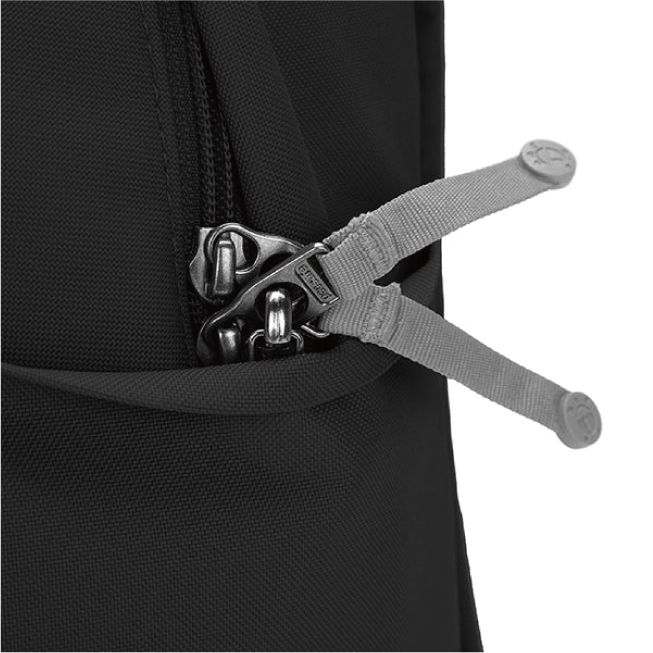 送料無料 パックセーフ pacsafe エイアンドエフ正規品 GO 15L バックパック リュック ビジネス アウトドア 防犯対策 スキミング クレジットカードの画像