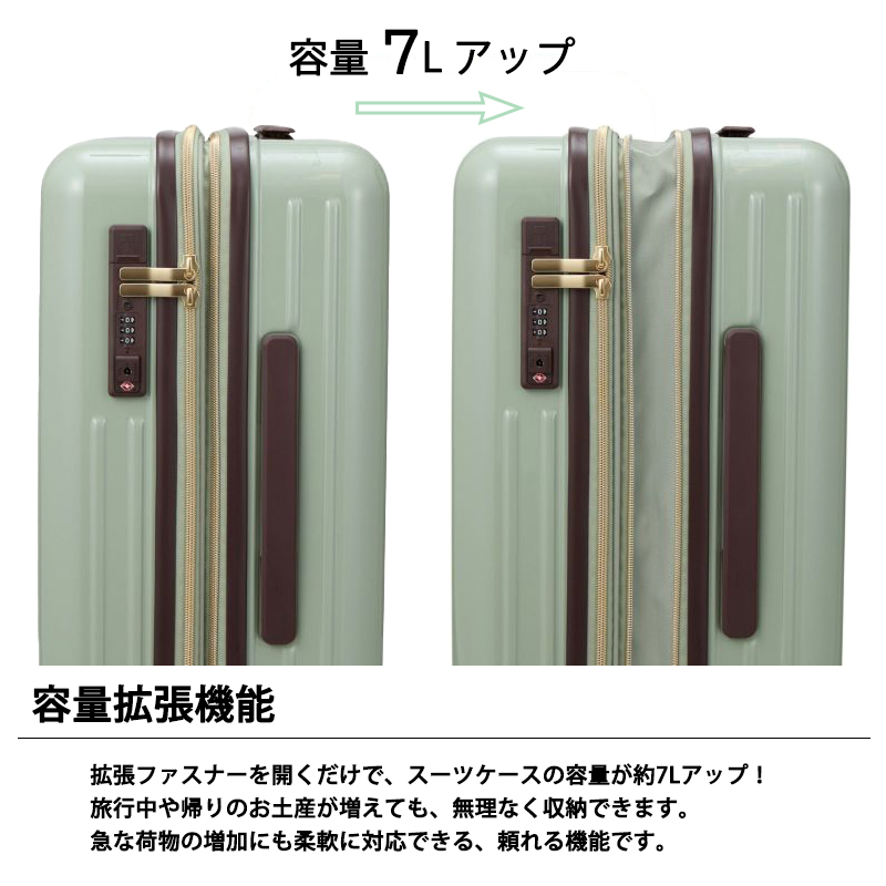Siffler（シフレ） 送料無料 正規品 スーツケース 機内持ち込み