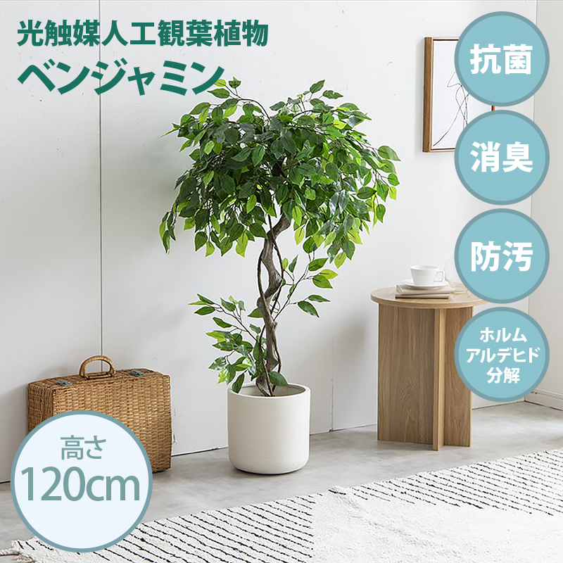 光触媒人工観葉植物 fake green ベンジャミン (約)幅70cm×奥行60cm×高さ120cm 照明光で消臭・抗菌・防汚・ホルムアルデヒド分解の効果を発揮 フェイクグリーン