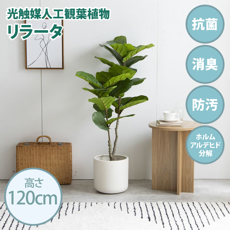 光触媒人工観葉植物 fake green リラータ (約)幅80cm×奥行48cm×高さ120cm 照明光で消臭・抗菌・防汚・ホルムアルデヒド分解の効果を発揮 フェイクグリーン